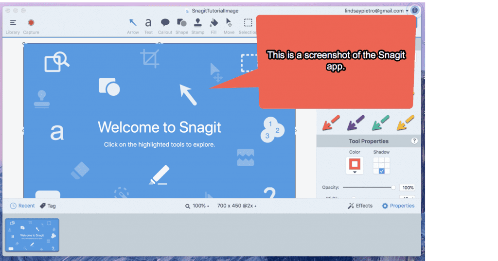 snagit video capture