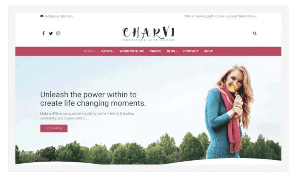 Charvi-WP-Thema