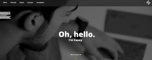 adobe muse website editor