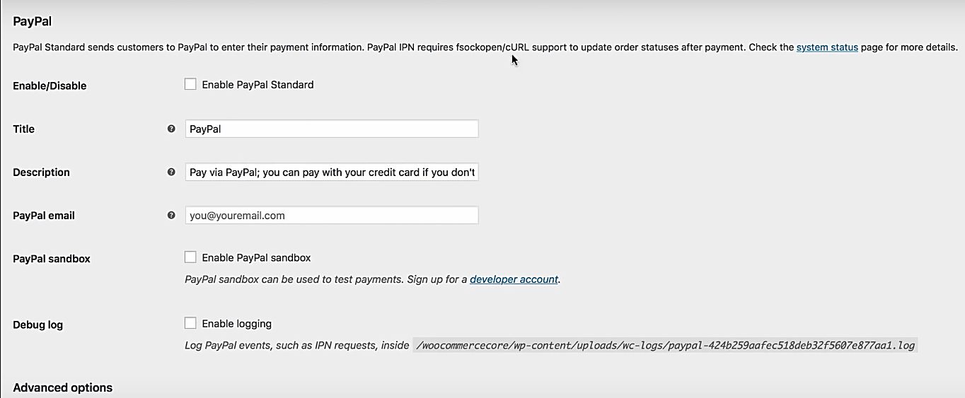 Paypal screenshot