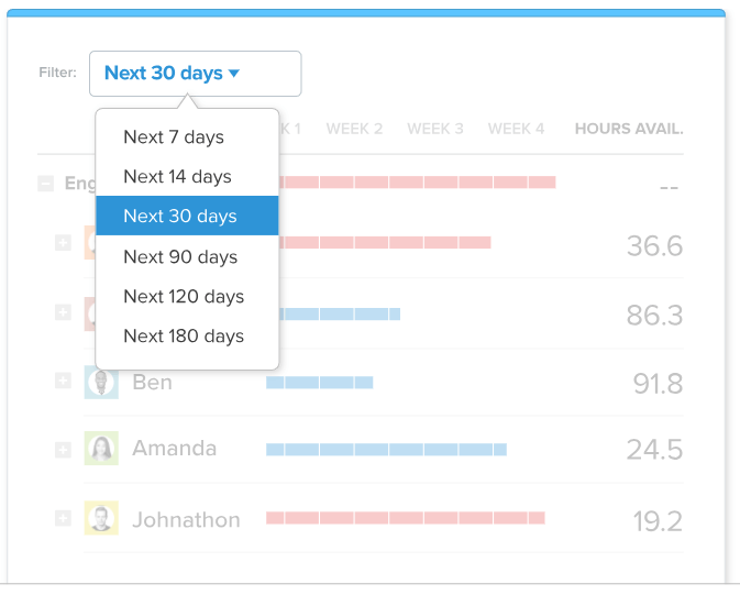 LiquidPlanner Resource Management Timeline