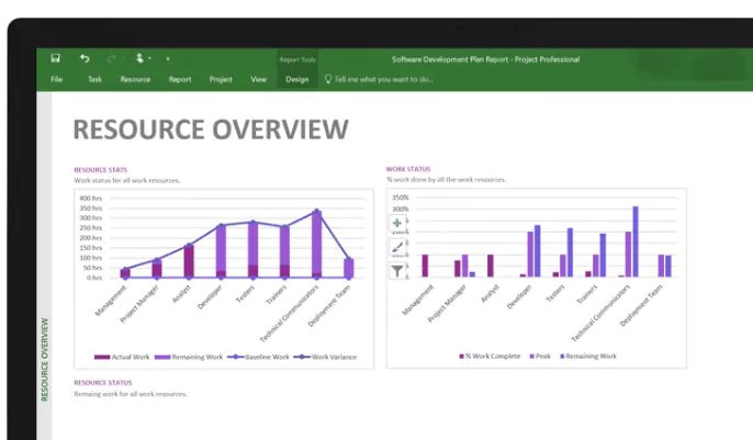 Microsoft Project Ressourcenübersicht