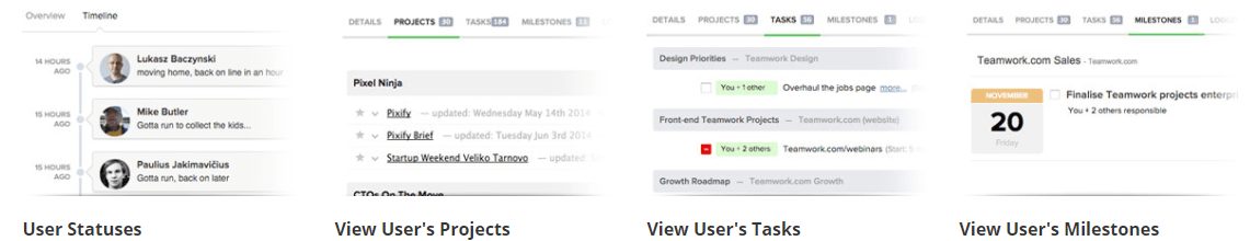 Teamwork Projects user tasks and projects