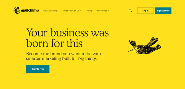 mailchimp home page