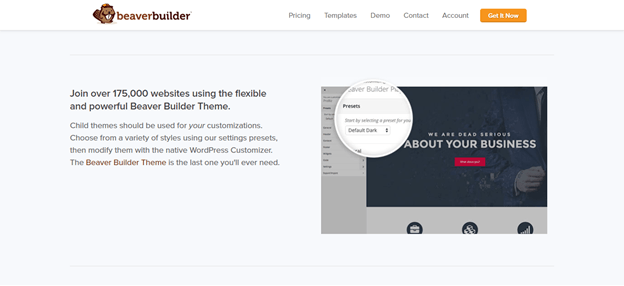 Beaver Builder themes