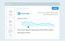 SEMrush pdf reports