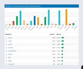 Backlink Audit Analysis 