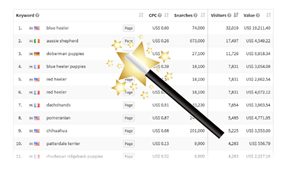 SEOprofiler hohe Platzierungen