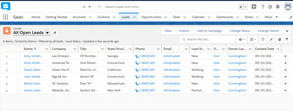 Screenshot depictign what it's like managing leads through Salesforce