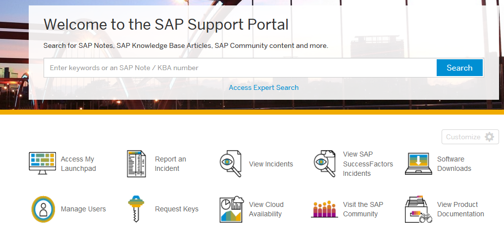 sap support