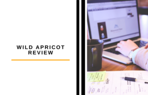 wild apricot review