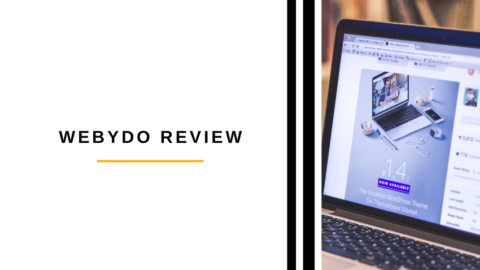 webydo review