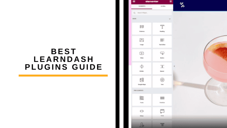 best learndash plugins
