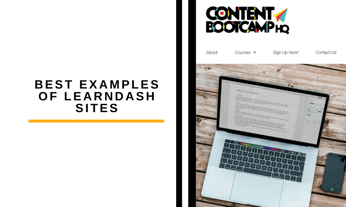 best examples of learndash sites