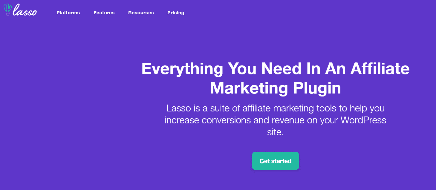 Lasso Alternatives