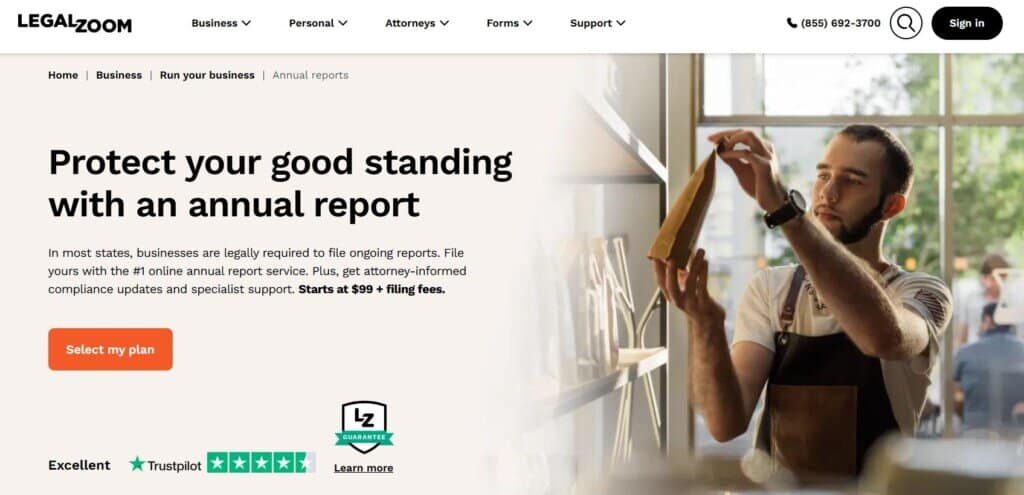 legalzoom annual report