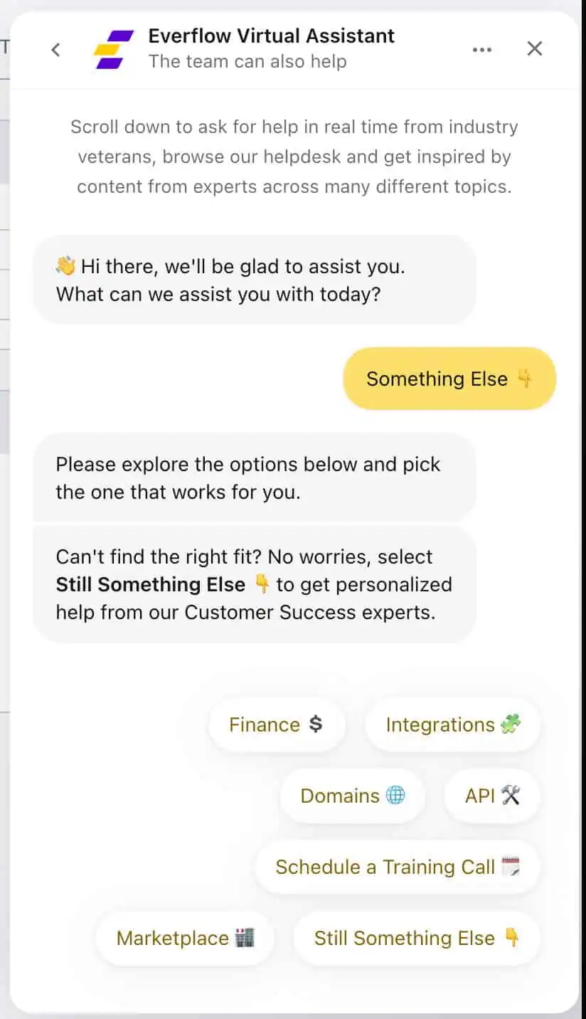 Everflow support