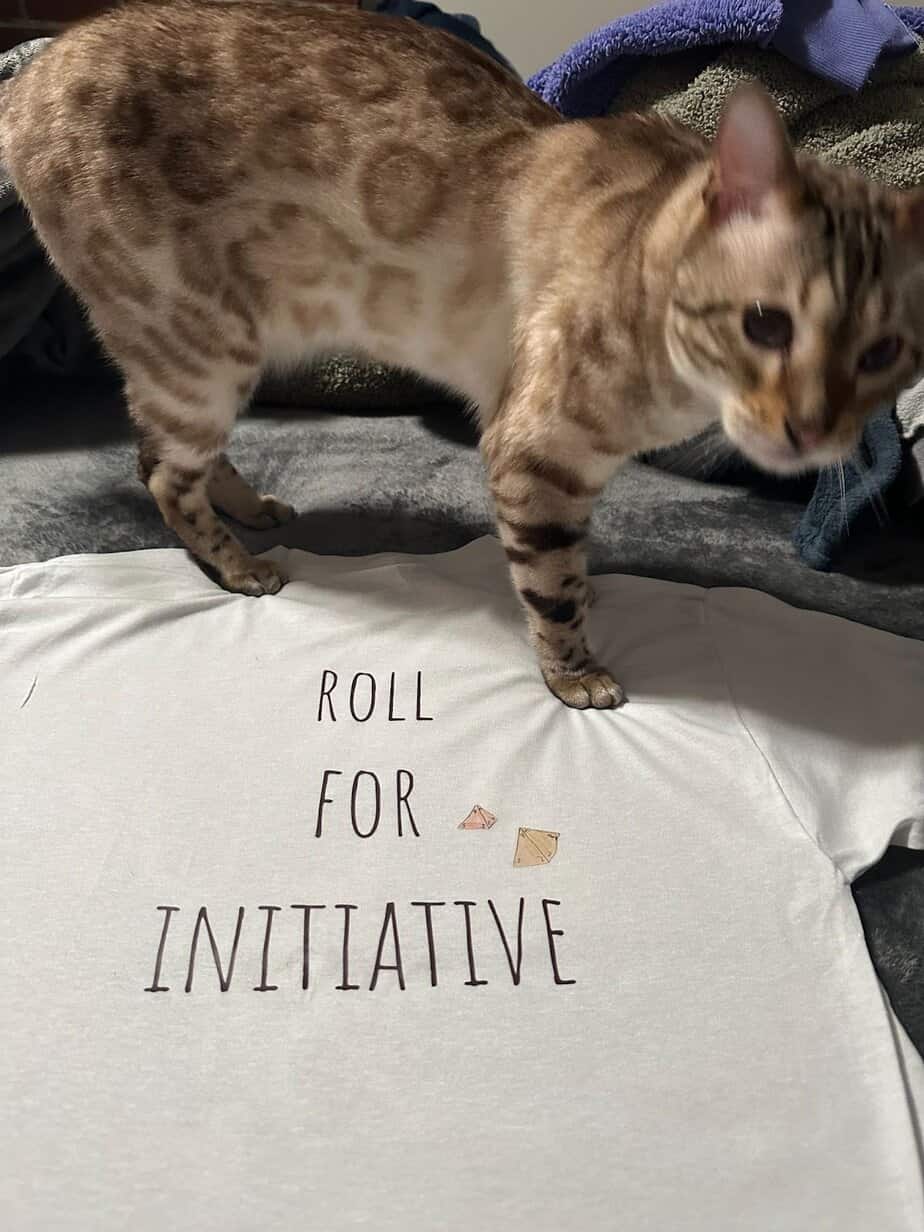 cat and tshirt