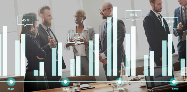 Best Fractional Controller Services