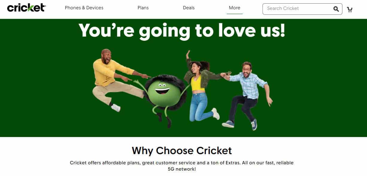 Cricket Wireless Features