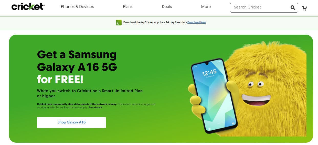 Total Wireless vs. Cricket Wireless