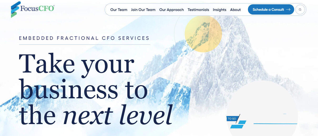 FocusCFO Fractional Controller Service