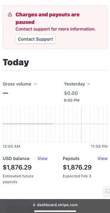 stripe frezee payments