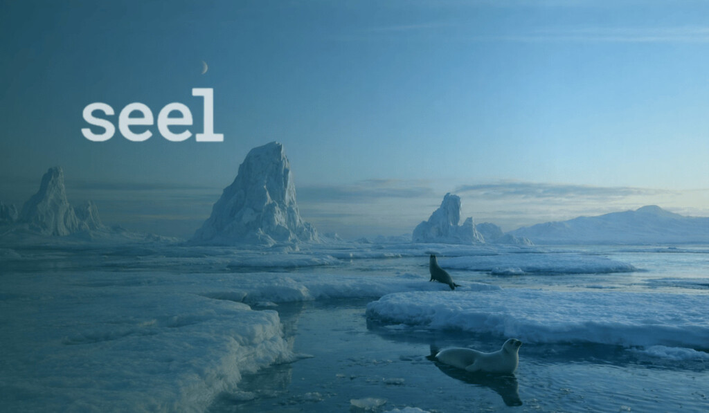 Seel Electronics Protection