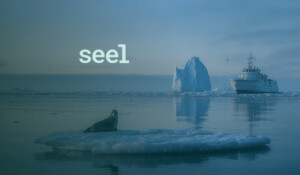 what is Seel Worry-Free delivery